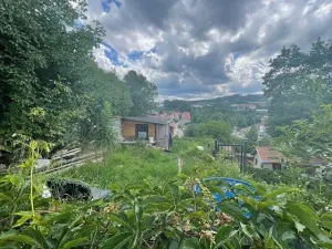 Dražba zahrady, Český Krumlov, 100 m2
