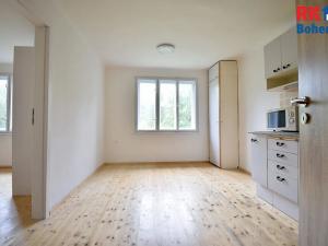 Pronájem rodinného domu, Pyšely, V Pískovně, 52 m2