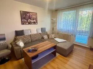 Prodej bytu 2+1, Prostějov, Jana Zrzavého, 54 m2
