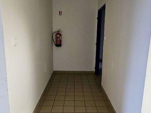 Pronájem výrobních prostor, Planá, Průmyslová, 2247 m2