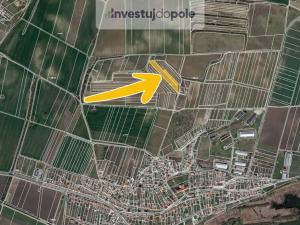 Prodej pozemku, Sedlec, 6224 m2