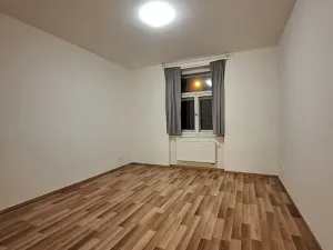 Pronájem bytu 2+1, Praha - Bubeneč, U zeměpisného ústavu, 47 m2