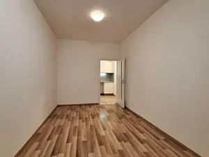 Pronájem bytu 2+1, Praha - Bubeneč, U zeměpisného ústavu, 47 m2