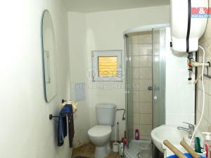 Prodej chaty, Pašinka, 30 m2
