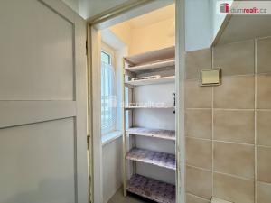 Prodej bytu 2+1, Ostrov, 65 m2