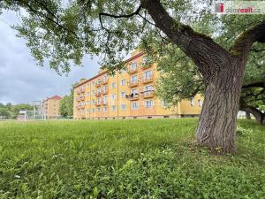 Prodej bytu 2+1, Ostrov, 65 m2