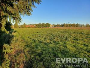 Prodej pozemku pro bydlení, Okrouhlo, 900 m2