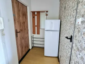 Pronájem bytu 1+1, Bílina, Aléská, 30 m2