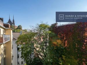 Pronájem bytu 1+1, Brno, Anenská, 26 m2