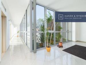 Pronájem bytu 1+1, Brno, Anenská, 26 m2