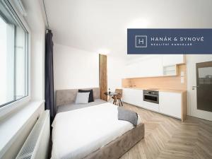 Pronájem bytu 1+kk, Brno, Cejl, 26 m2