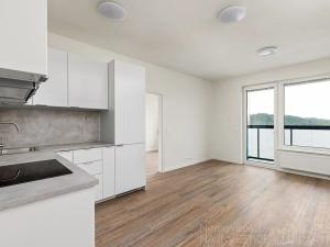 Pronájem bytu 2+kk, Praha - Hloubětín, Laponská, 52 m2