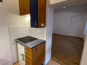 Pronájem bytu 1+1, Brno, Mendlovo náměstí, 25 m2