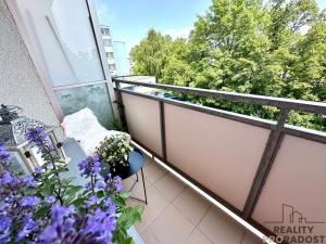 Pronájem bytu 2+1, Olomouc, Hamerská, 61 m2