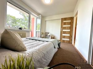 Pronájem bytu 2+1, Olomouc, Hamerská, 61 m2