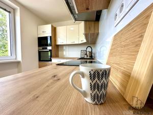 Pronájem bytu 2+1, Olomouc, Hamerská, 61 m2