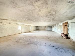 Prodej rodinného domu, Mnichov - Sítiny, 570 m2