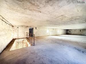 Prodej rodinného domu, Mnichov - Sítiny, 570 m2
