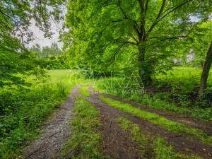 Prodej pozemku pro bydlení, Hrubá Skála, 5519 m2