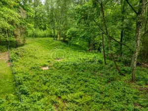 Prodej pozemku pro bydlení, Hrubá Skála, 5519 m2