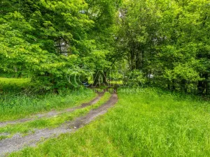 Prodej pozemku pro bydlení, Hrubá Skála, 5519 m2