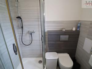Pronájem bytu 3+kk, Most, Mikoláše Alše, 68 m2