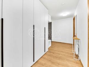 Pronájem bytu 1+kk, Praha - Vysočany, Kolbenova, 50 m2