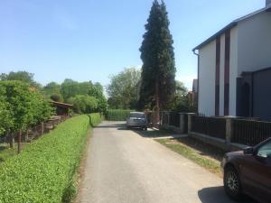 Pronájem bytu 2+kk, Kunín, 66 m2