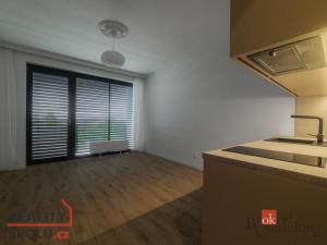 Pronájem bytu 1+kk, Plzeň - Jižní Předměstí, U Borského parku, 34 m2