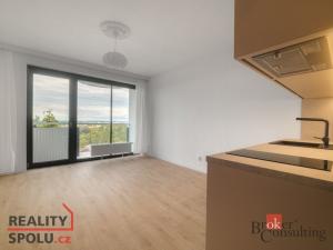 Pronájem bytu 1+kk, Plzeň - Jižní Předměstí, U Borského parku, 34 m2