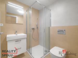 Pronájem bytu 1+kk, Plzeň - Jižní Předměstí, U Borského parku, 34 m2