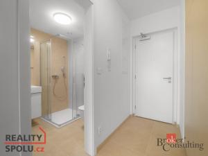Pronájem bytu 1+kk, Plzeň - Jižní Předměstí, U Borského parku, 34 m2