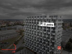 Pronájem bytu 1+kk, Plzeň - Jižní Předměstí, U Borského parku, 34 m2