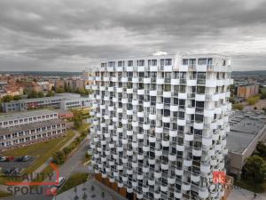 Pronájem bytu 1+kk, Plzeň - Jižní Předměstí, U Borského parku, 34 m2