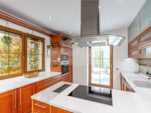 Prodej rodinného domu, Mladá Boleslav - Čejetice, Nová, 302 m2