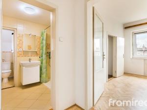 Pronájem bytu 2+1, Brno, Lužova, 60 m2