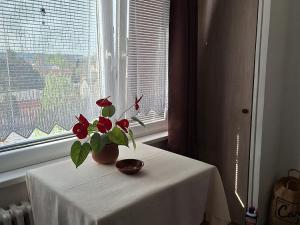 Prodej bytu 1+1, Vamberk, Struha, 34 m2
