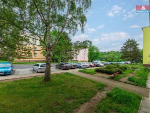 Prodej bytu 2+1, Cheb, Lesní, 61 m2