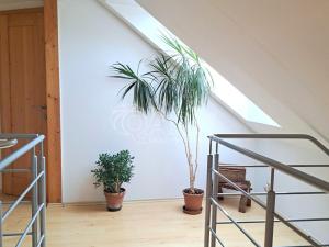 Prodej rodinného domu, Rožmitál pod Třemšínem, Tyršova, 120 m2