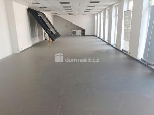 Prodej výrobních prostor, Děčín - Děčín VI-Letná, Dělnická, 793 m2