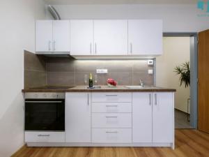 Pronájem bytu 1+kk, Třešť, Nádražní, 28 m2