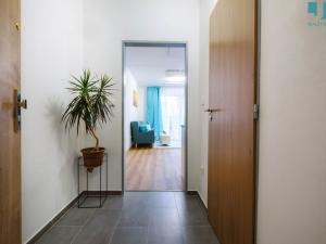 Pronájem bytu 1+kk, Třešť, Nádražní, 28 m2
