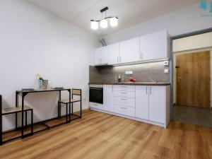 Pronájem bytu 1+kk, Třešť, Nádražní, 28 m2