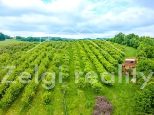 Prodej sadu/vinice, Polom, 9760 m2