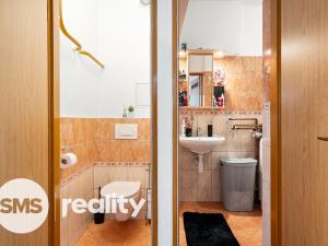 Prodej bytu 3+1, Ratíškovice, U Hájenky, 75 m2