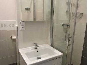 Pronájem bytu 1+kk, Zlín, Ševcovská, 30 m2
