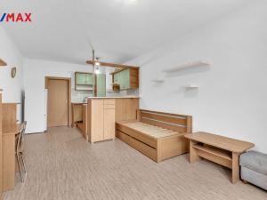 Prodej bytu 1+kk, Hradec Králové - Moravské Předměstí, Štefánikova, 34 m2