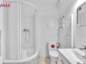 Prodej bytu 1+kk, Hradec Králové - Moravské Předměstí, Štefánikova, 34 m2