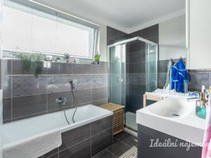 Pronájem bytu 5+kk, Březí, V Jezírku, 140 m2
