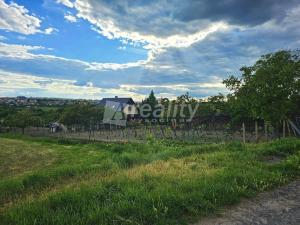 Prodej zahrady, Znojmo, 1132 m2